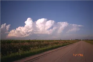 small_9608 2578 sd scoutsIMG0049.webp